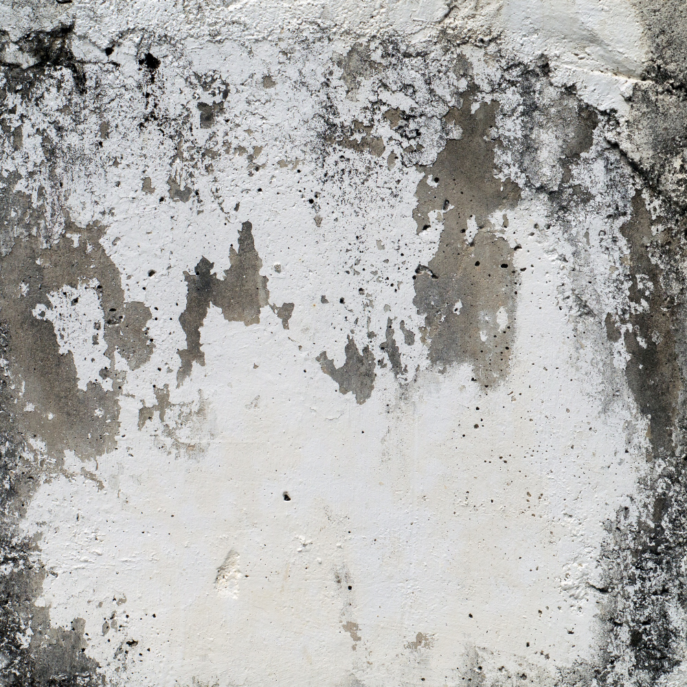 housing damp walls